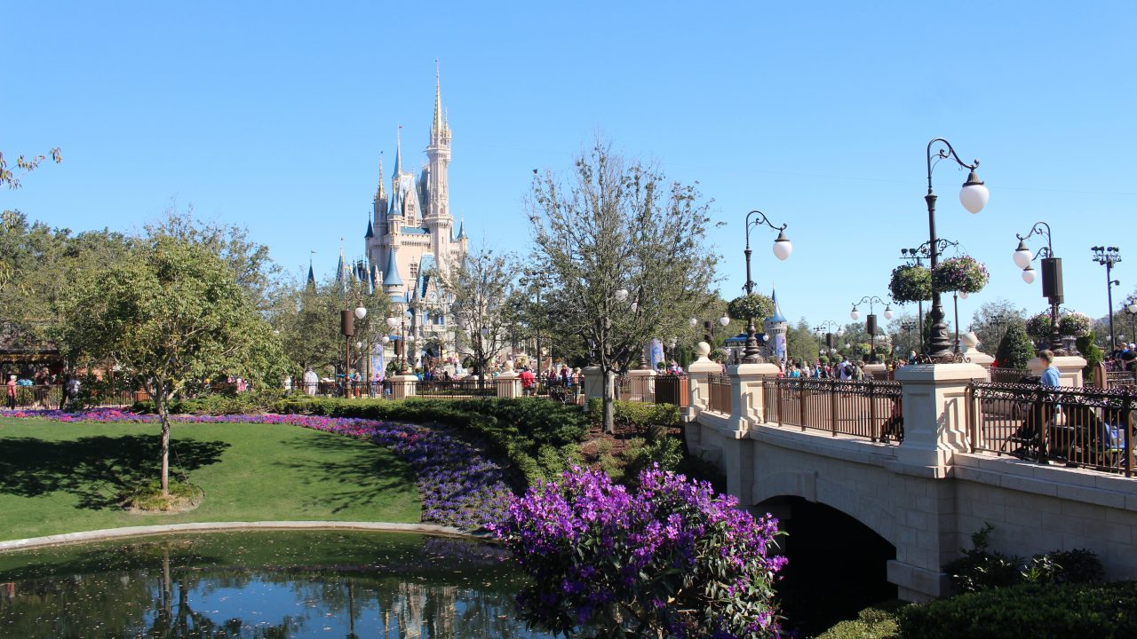 Disney World